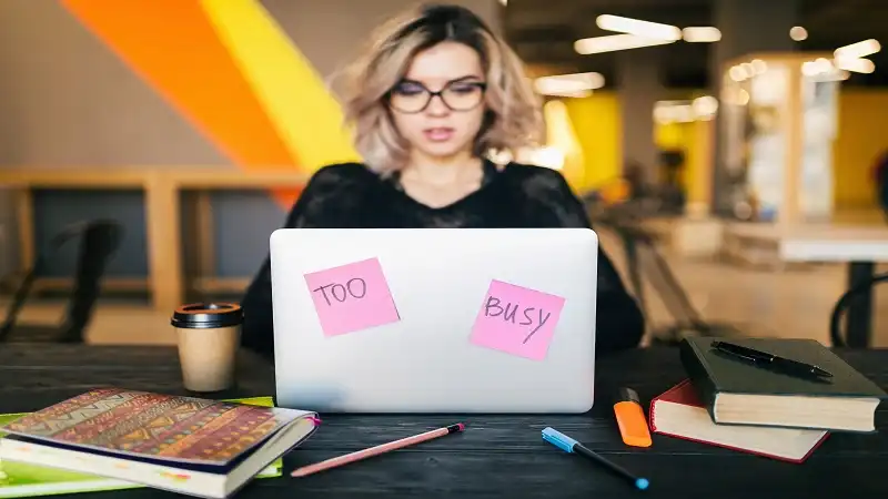 shopify wisestudyspot .com
